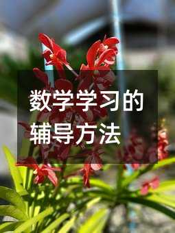 數學學習的輔導方法