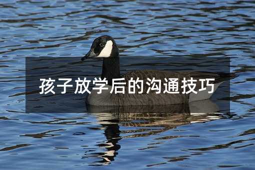 孩子放學后的溝通技巧
