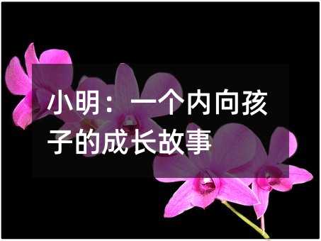 小明:一個內(nèi)向孩子的成長故事