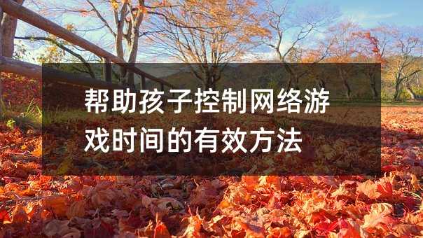 幫助孩子控制網(wǎng)絡游戲時間的有效方法