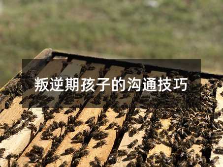 叛逆期孩子的溝通技巧