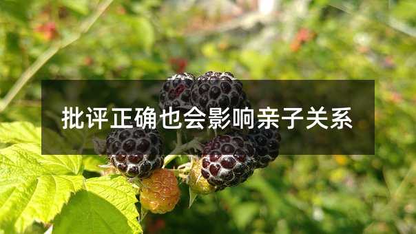 批評正確也會影響親子關系