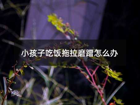 小孩子吃飯拖拉磨蹭怎么辦