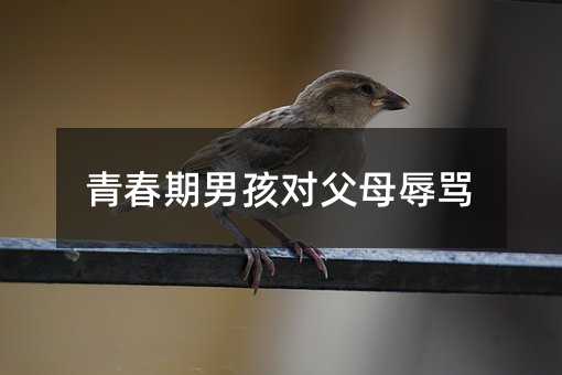 青春期男孩對父母辱罵