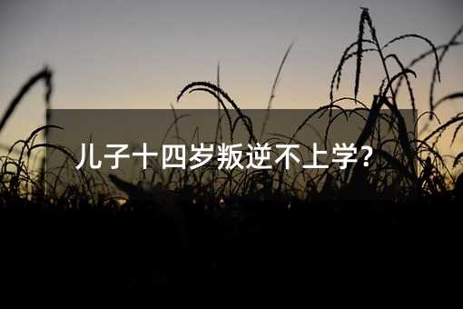 兒子十四歲叛逆不上學(xué)?