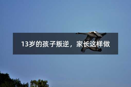 13qĺ棬L@