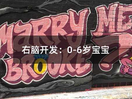 右腦開(kāi)發(fā):0-6歲寶寶