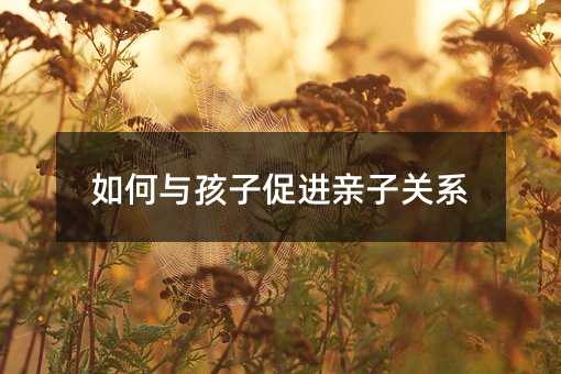 如何與孩子促進親子關系