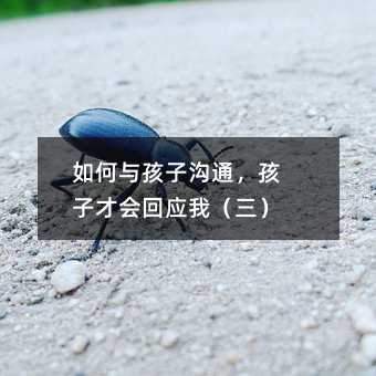 如何與孩子溝通,孩子才會回應我(三)