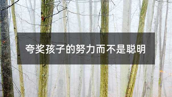 夸獎(jiǎng)孩子的努力而不是聰明