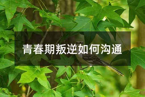 青春期叛逆如何溝通