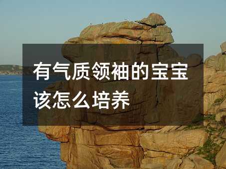 有氣質領袖的寶寶該怎么培養