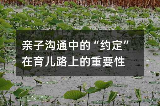 親子溝通中的“約定”在育兒路上的重要性