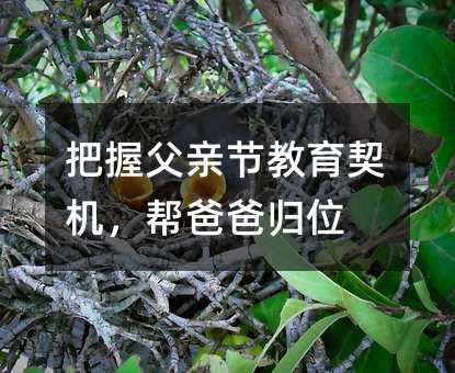 把握父親節教育契機,幫爸爸歸位