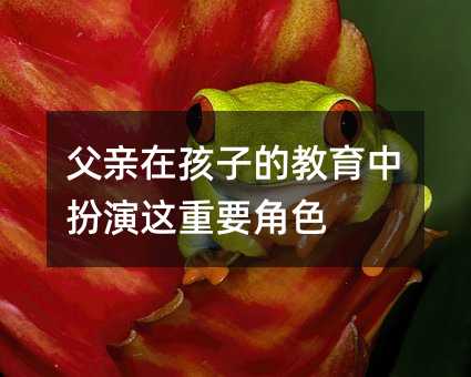 父親在孩子的教育中扮演這重要角色