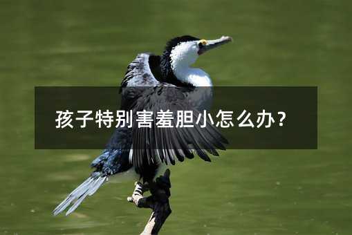 孩子特別害羞膽小怎么辦?