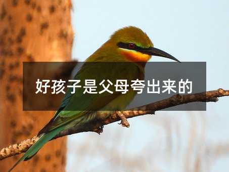 好孩子是父母夸出來的