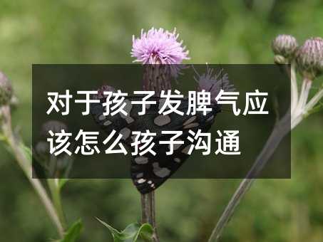 對于孩子發脾氣應該怎么孩子溝通