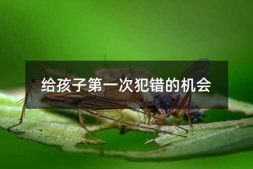 給孩子第一次犯錯的機會