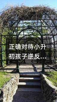 正確對待小升初孩子逆反心理的方法