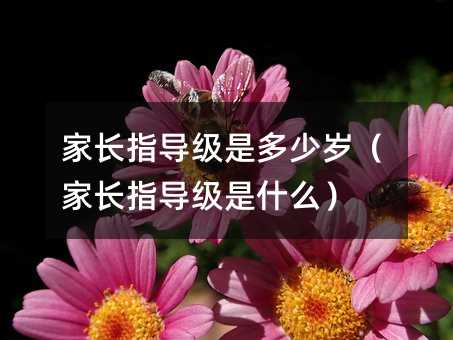 家長指導級是多少歲(家長指導級是什么)