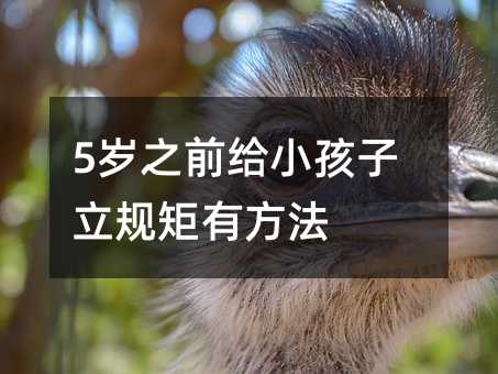 5q֮ǰoСҎз
