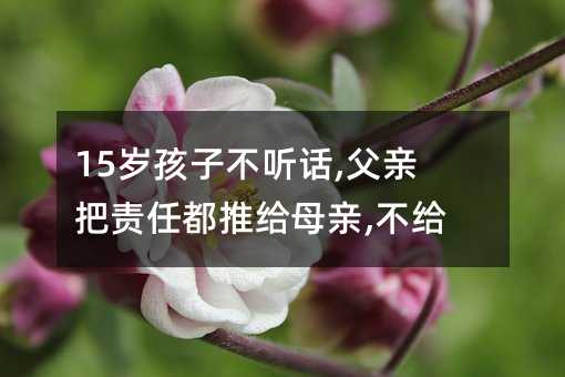 15歲孩子不聽話,父親把責(zé)任都推給母親,不給錢