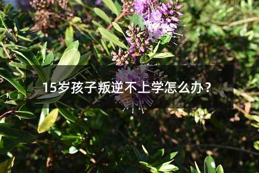 15q治όWôk