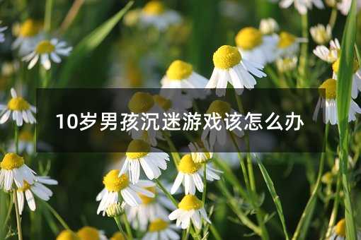 10歲男孩沉迷游戲該怎么辦