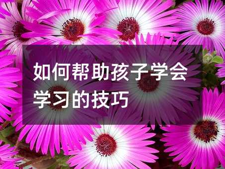 ΎӌW(xu)W(xu)(x)ļ