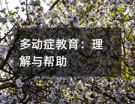 多動癥教育:理解與幫助