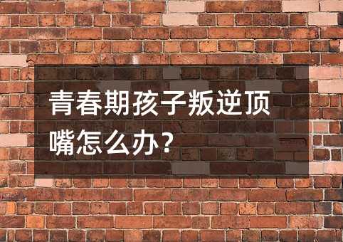 青春期孩子叛逆頂嘴怎么辦?