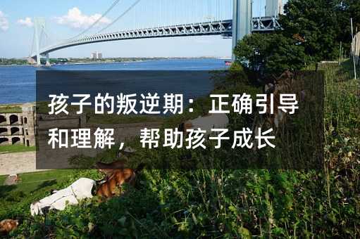 孩子的叛逆期:正確引導和理解,幫助孩子成長