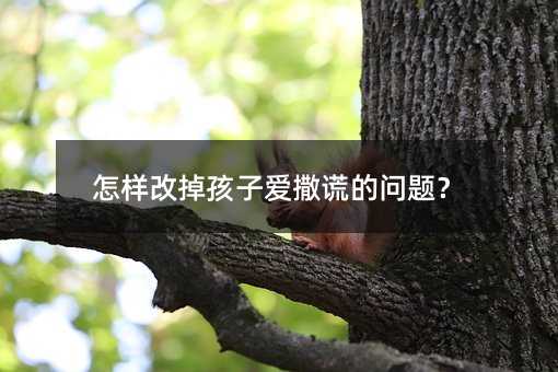 怎樣改掉孩子愛撒謊的問題?
