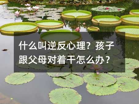 ʲô淴Ӹĸôk