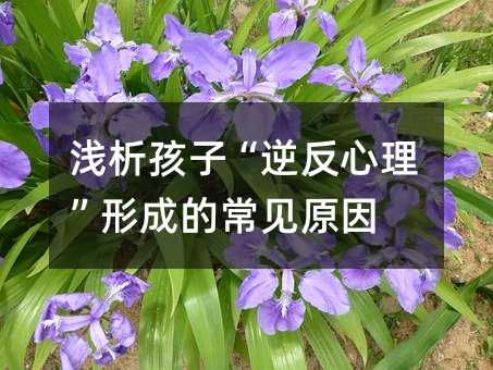 \ӡ淴γɵĳҊԭ