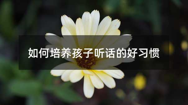 如何培養(yǎng)孩子聽話的好習(xí)慣