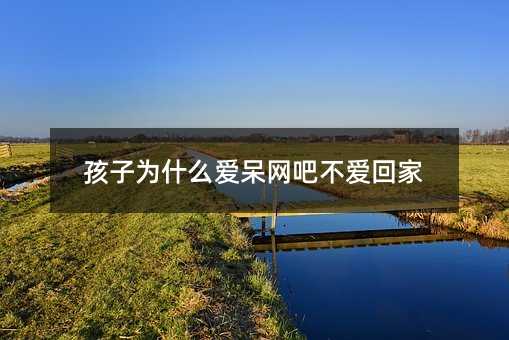 孩子為什么愛呆網吧不愛回家