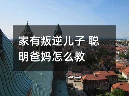 家有叛逆兒子 聰明爸媽怎么教