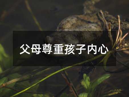 父母尊重孩子內(nèi)心