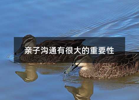 親子溝通有很大的重要性