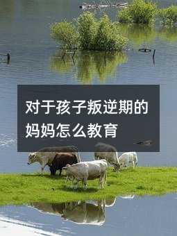 對于孩子叛逆期的媽媽怎么教育