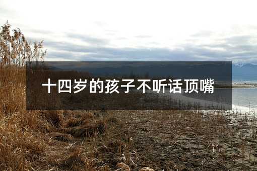 十四歲的孩子不聽(tīng)話頂嘴