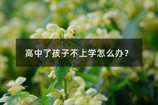 高中了孩子不上學(xué)怎么辦?