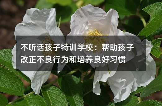不聽話孩子特訓(xùn)學(xué)校:幫助孩子改正不良行為和培養(yǎng)良好習(xí)慣