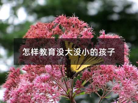 怎樣教育沒大沒小的孩子