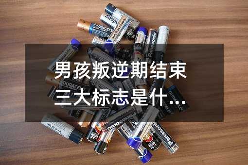 男孩叛逆期結束三大標志是什么?