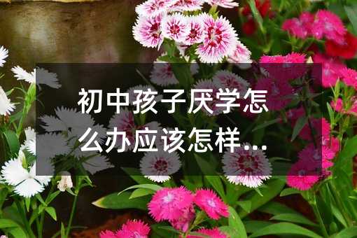 кӅW(xu)ôk(yng)ԓ_(do)