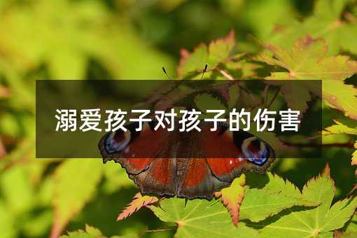 溺愛孩子對孩子的傷害