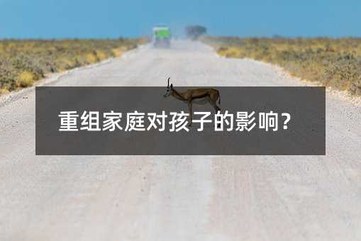 重組家庭對孩子的影響?